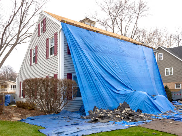 Best Historical Building Siding Restoration  in De Leon, TX