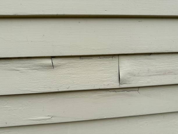 Best Engineered Wood Siding  in De Leon, TX